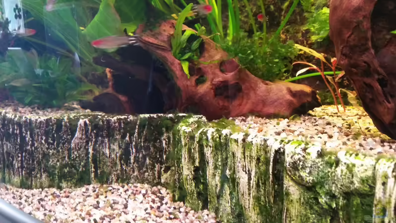 Terrasse ca. 9 cm hoch von Gigi (19)