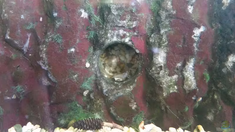 Terrasse mit Höhle  von Gigi (20)