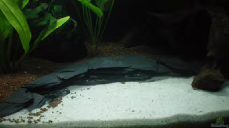 Terrasse mit Sandpool... :-) von Thomas Ahrens (9)