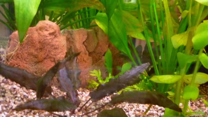 Terrasse von dirkvader71 (17)