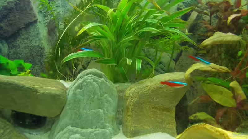 Terrasse von Thomas Huber (10)