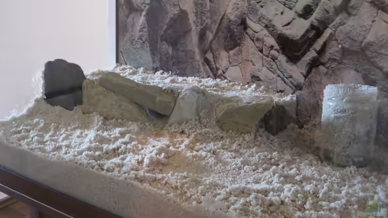 Terrasse von Thomas Huber (8)