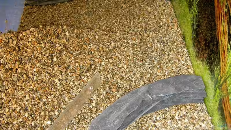 Terrassen im Rohbau ohne Kies von bjoern21x (5)