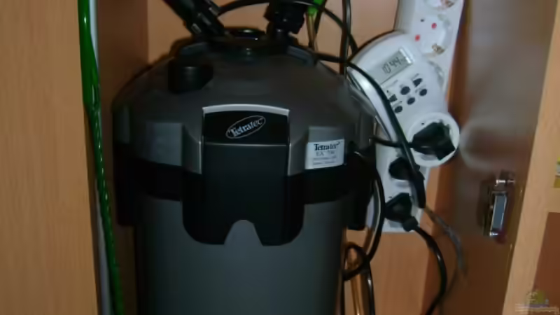 Terratec 700 Außfi. + Pumpe + Zeitschaltuhr fürs Licht von Robert Bratzik (13)