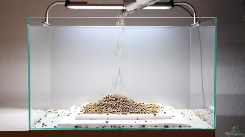 TerraZero wird als nächstes aufgestreut und dient als Langzeitdepotdünger. von Arami Gurami (7)