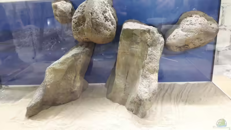 Test-Blau von Thorsten T (7)