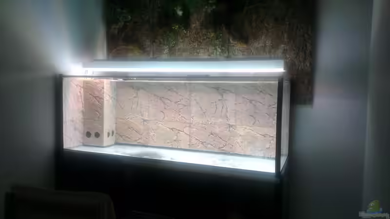 Test der Beleuchtung, 115W LED von Aldigauss (5)