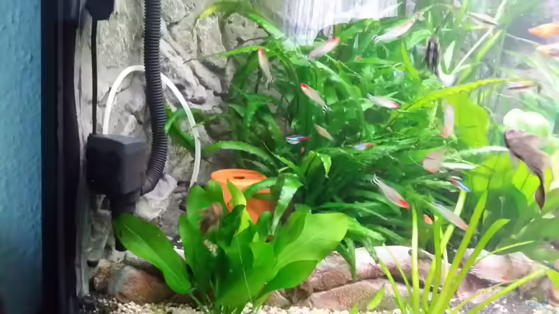 Test der Strömungspumpe von Steffen und Felix (23)