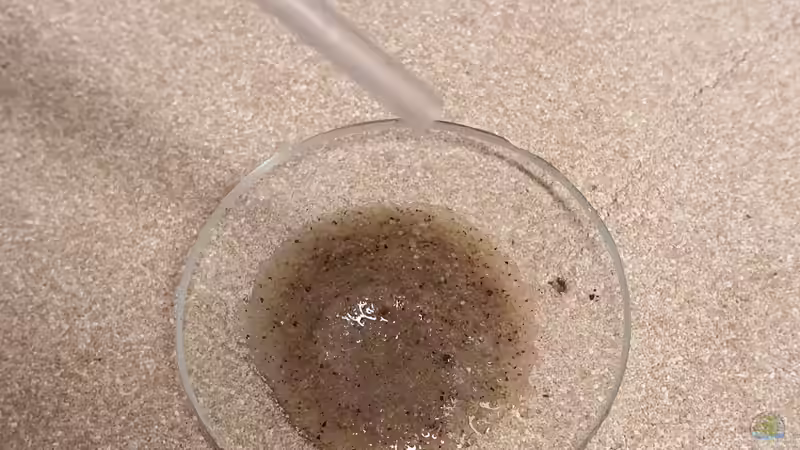 Test des Sandes mit verdünnter Salzsäure - Nichts schäumt, keine Härtebildner - alles paletti im Rio Nanay von ravaka (26)