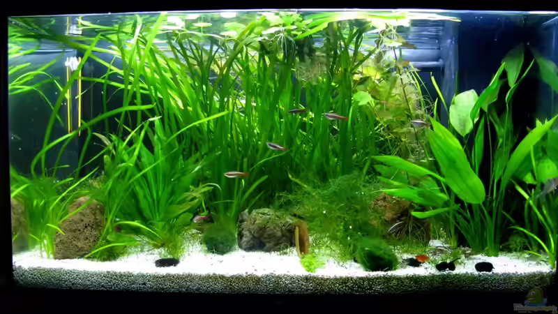 Test LED-Beleuchtung von Stefan Peter (5)