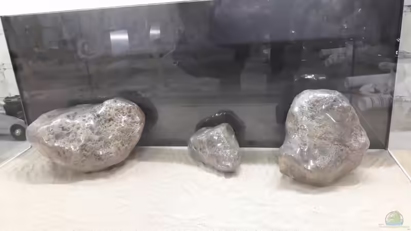 Test-Schwarz von Thorsten T (8)