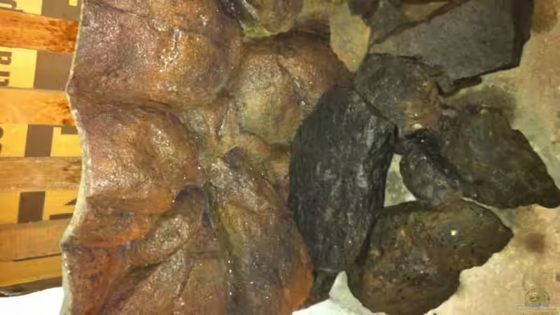 Test trocken 2 von Sunny73 (24)