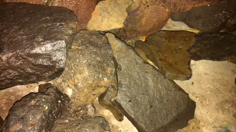 Test trocken 4 von Sunny73 (26)