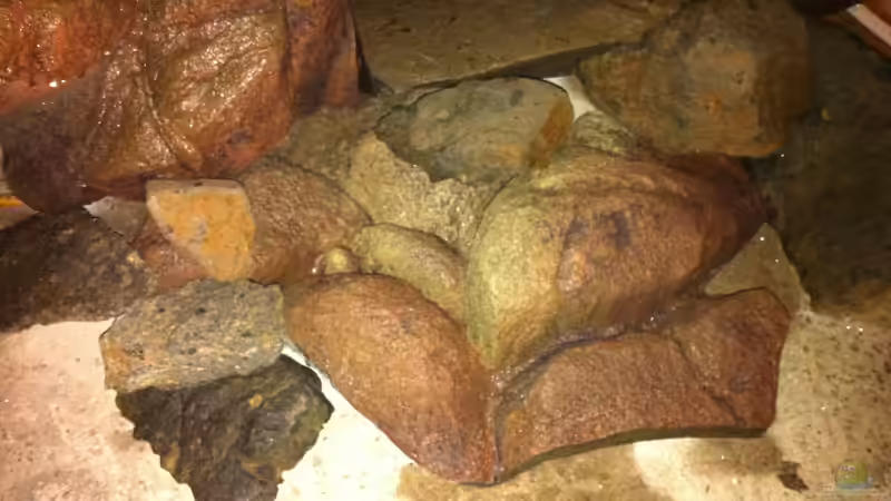 Test trocken 6 von Sunny73 (28)