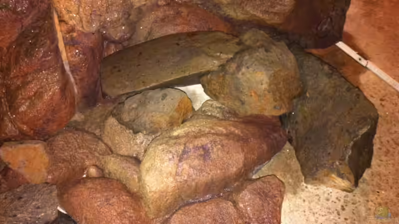 Test trocken 7 von Sunny73 (29)