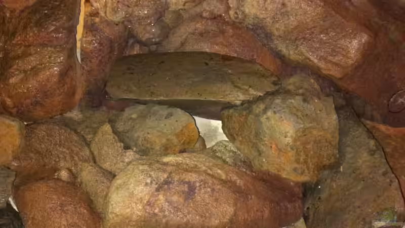 Test trocken 8 von Sunny73 (30)