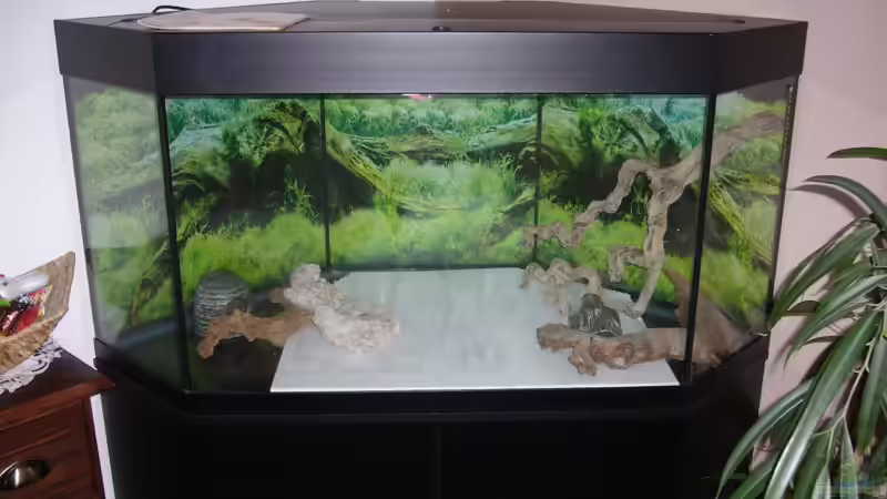 Test von Sunnyboy_72 (2)