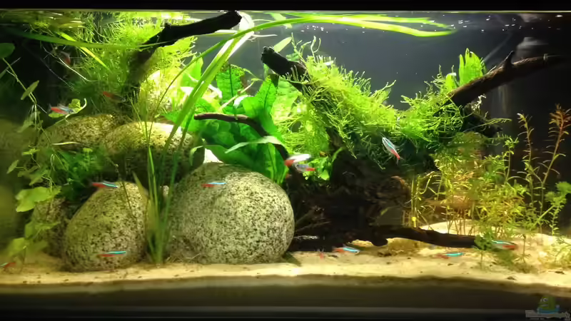 Testbecken Front von ultraviolet (1)