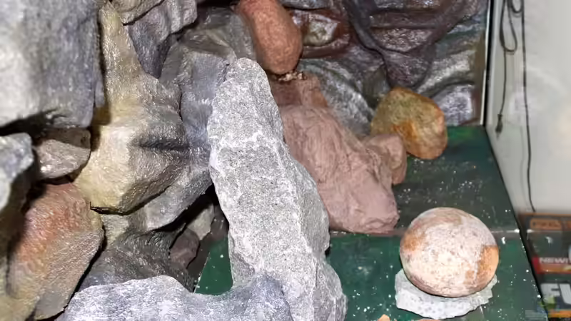 Testdeko, Blick von der linken Seite von Cruiser Bruno (54)