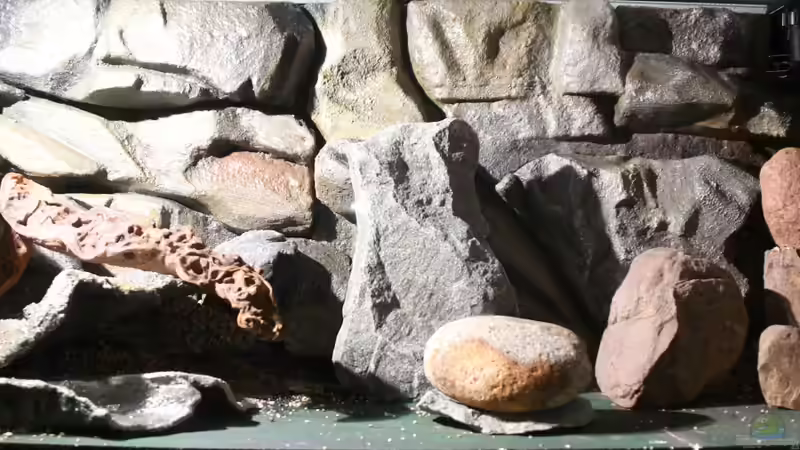 Testdeko, die Rockzolid -Module fehlen noch von Cruiser Bruno (53)