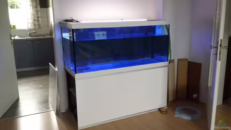 Testlauf nur Blaue LED von redieh (16)