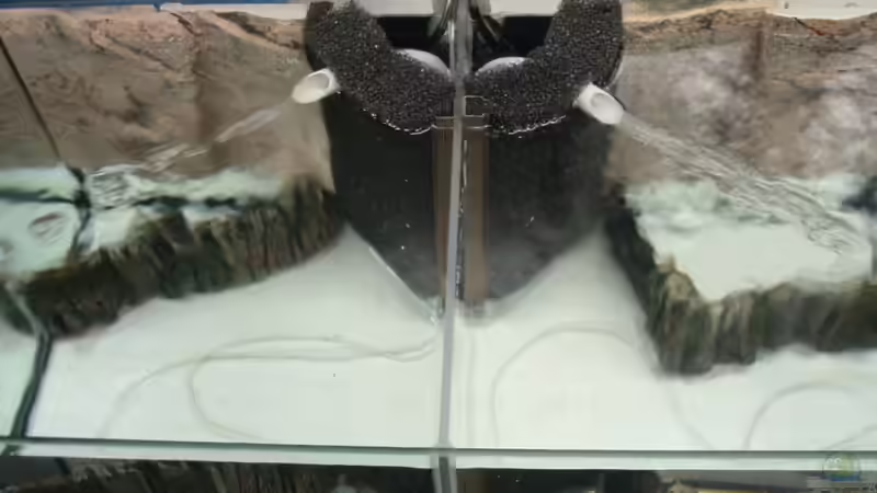 Testlauf von Snoeddenmops (3)