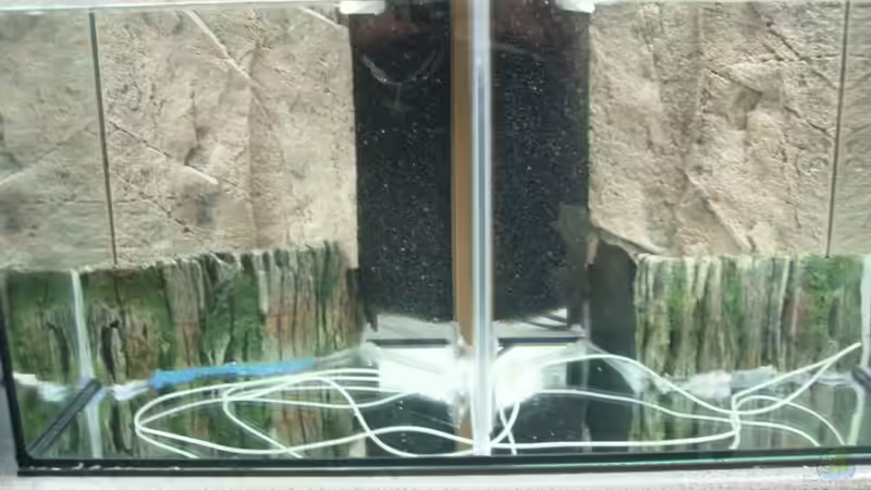 Testlauf von Snoeddenmops (4)