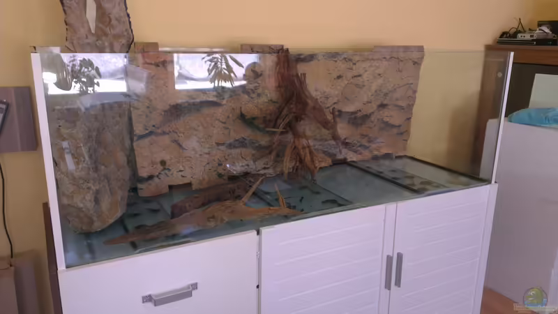 Testplatzierung von Biffty (28)