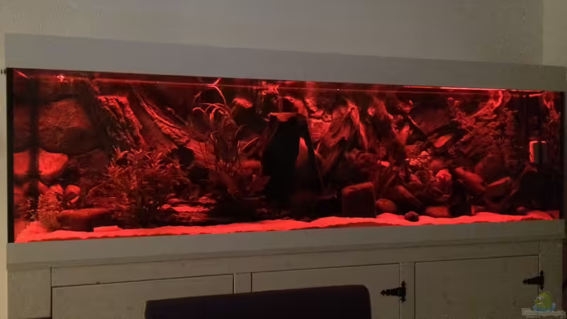 Testweise mal in rot von Captain Gü (13)