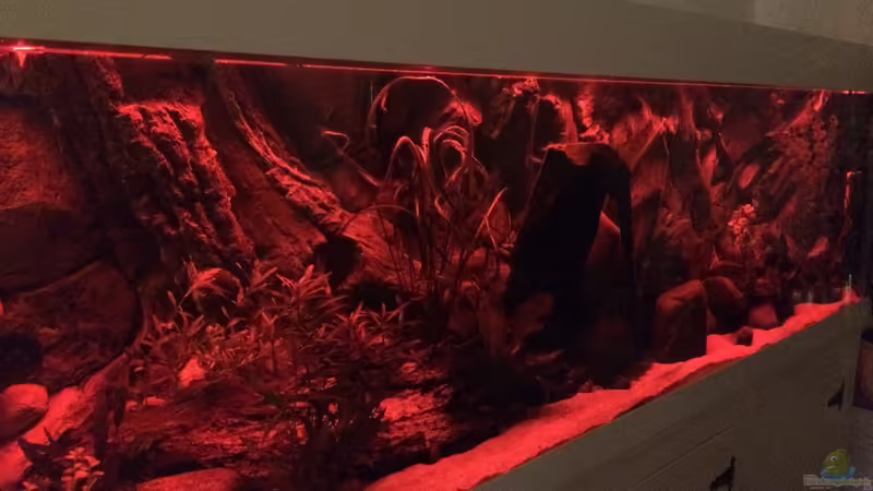 Testweise mal in rot von Captain Gü (14)