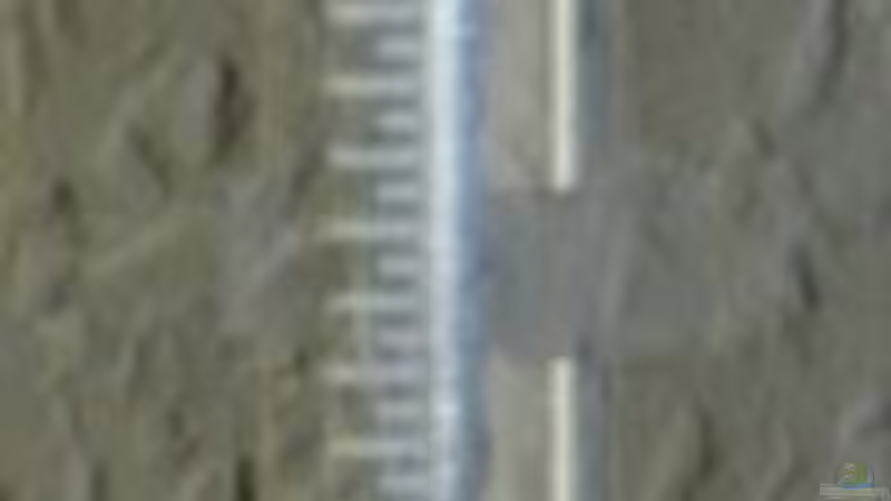 Tetra 100 Watt von Enrico Bergmann (15)