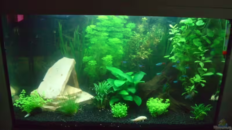 Tetra Aquaart 60L