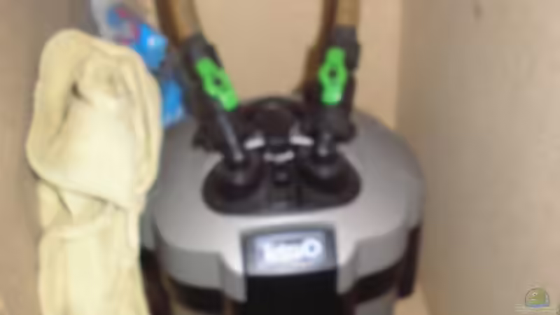 Tetra Fx 600 von Südamerikafreak BK (12)