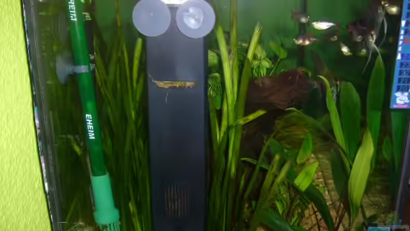 Tetra Innenfilter von Joachim Reinhardt (23)