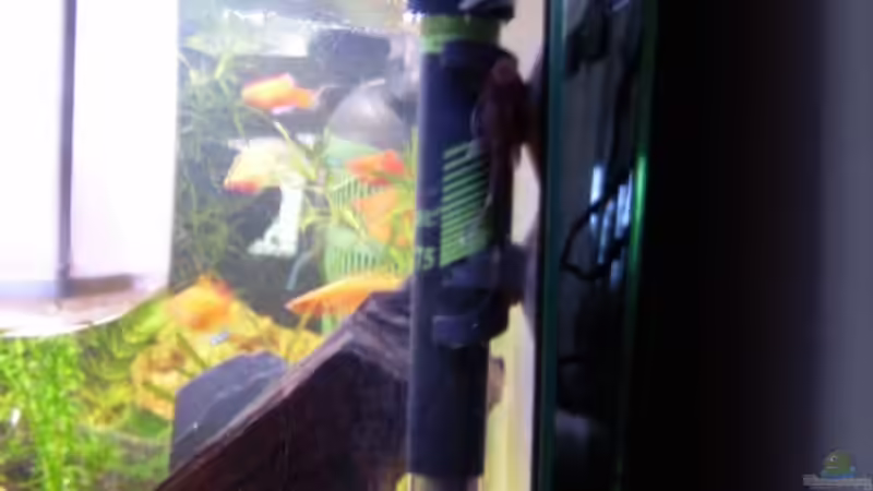 Tetra Tec HT75 Regelheizer von Anamorph (10)