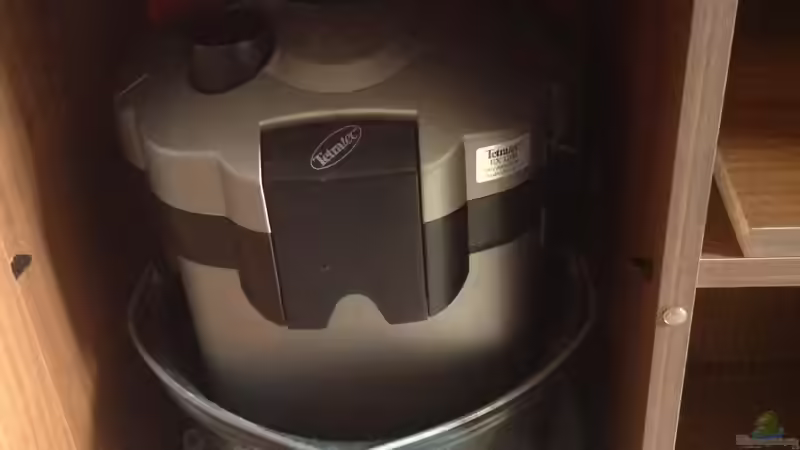 Tetratec EX 1200, zur Sicherheit immer im Eimer und auf einem Tuch um die Vibrationen von Baryo (9)