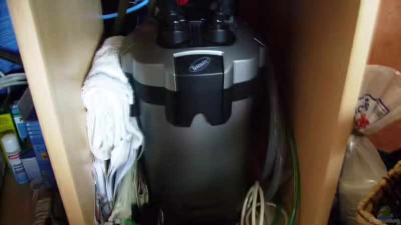 TetraTec EX 700 Außenfilter von Thomas Gornioczek (15)