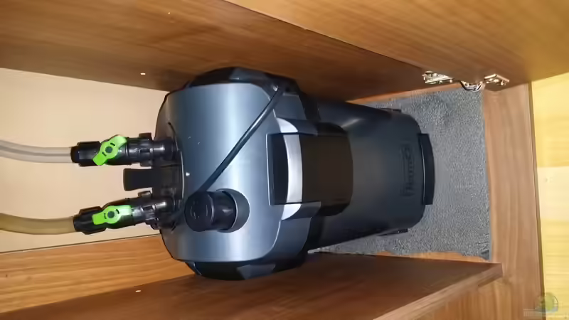 Tetratec Ex 800 plus von Anna-RS (14)