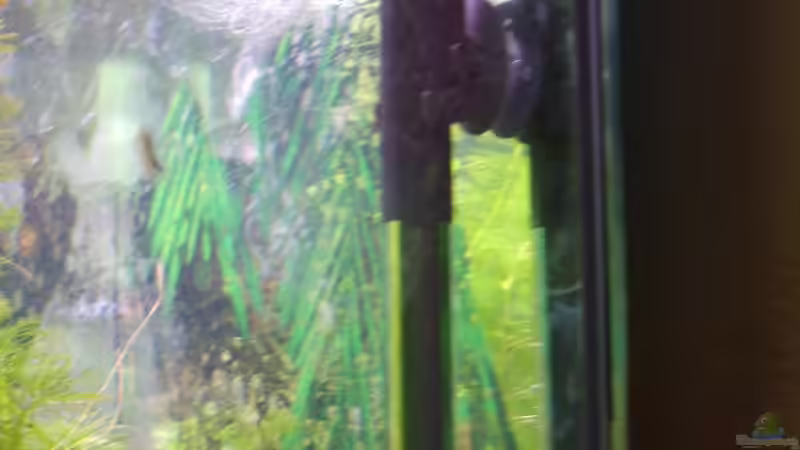 TetraTec Heizung HT150 von Rocky (11)