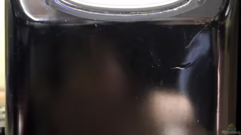 Teuer und die zuverlässigste Lösung für den Sommer: Durchlaufkühler am Aquarium