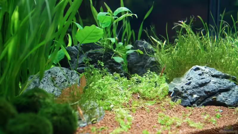 Teuto canyon von Guido Seifert (7)