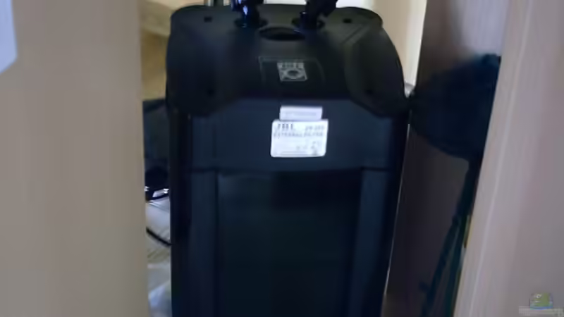 TG Cristal Profi 250 Außenfilter JBL von Marc Holthausen (3)