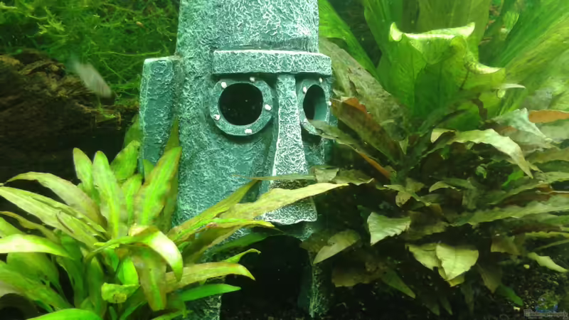 Thadeus Höhle von Jessi & Daniel (8)