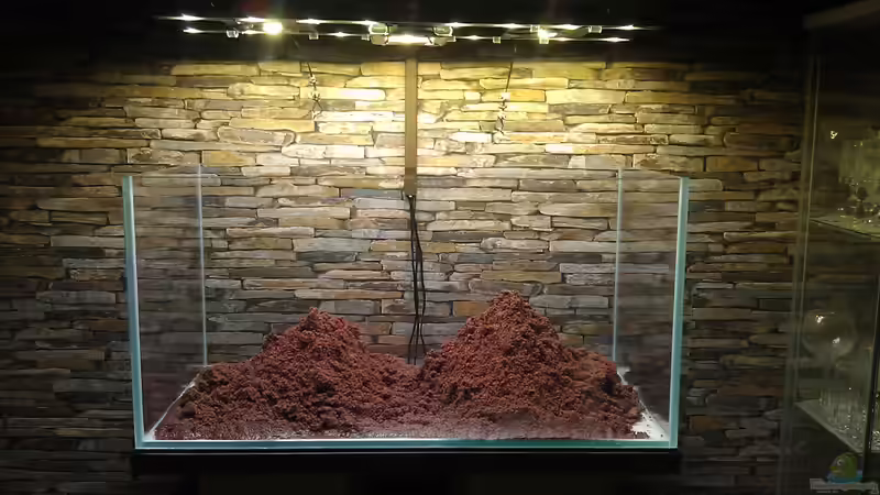 The Beginning von El Hein (9)