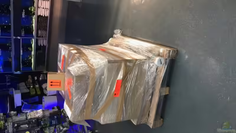 the beginning von The_Lizardking (2)