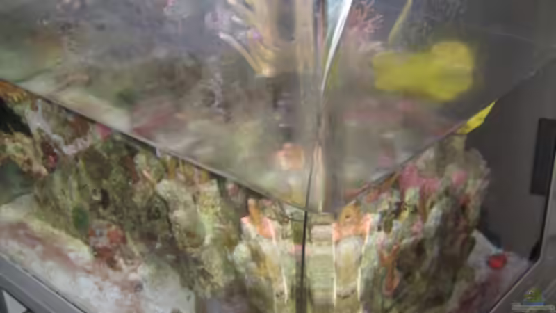 The End!!!! Leider hatte unser RSM eine Spannungsriss und ist über Nacht ausgelaufen. von water13 (14)