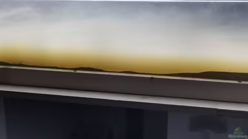 The Fog- Nebel des Grauens von RalfB (16)