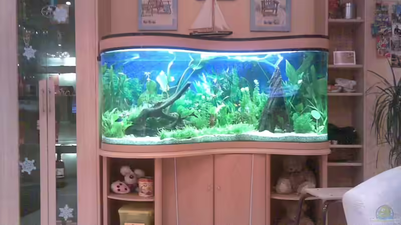 The New!   Tyburksi Prestige Aquarium Line  15x gebaut