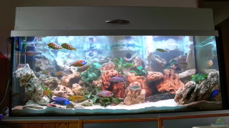 The ´Rock´ ist fertig.... von Christian Klar (10)