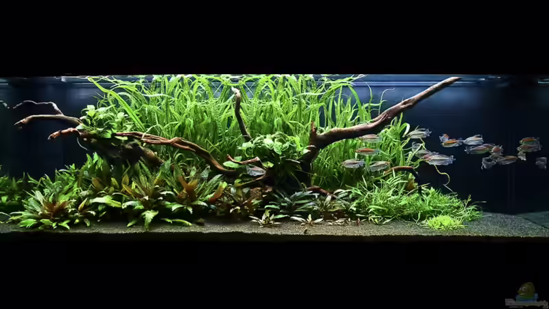 The spirit of nature - 27. 05. 2010 von -Der Österreicher- (4)